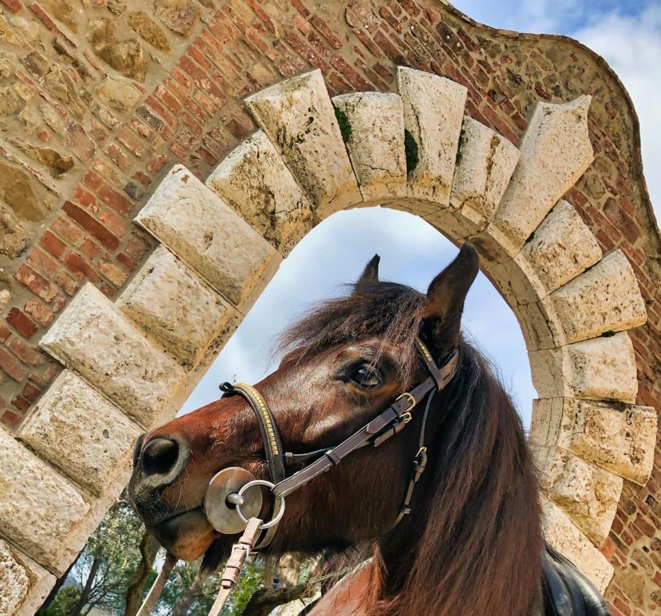 Tenuta I Mandorli Peccioli Extérieur photo